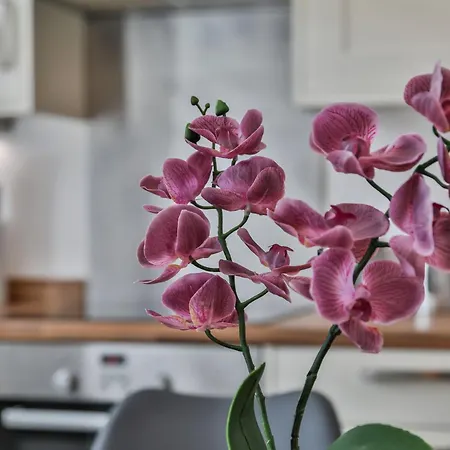Heart Of The City-flexi Cancellations-central Hub Holiday home